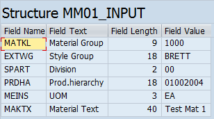 lsmw-example-input-data-detail-display