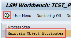 lsmw-step-execute-maintain-object-attributes