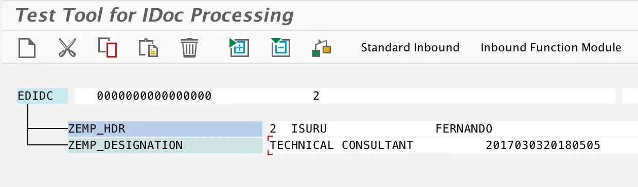 Test custom iDoc Type and Process Code in we19