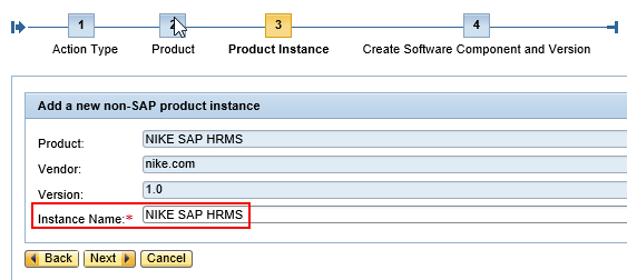 Assign a d value for the Instance name of the product