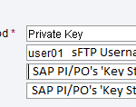 sFTP Private Key configuration.