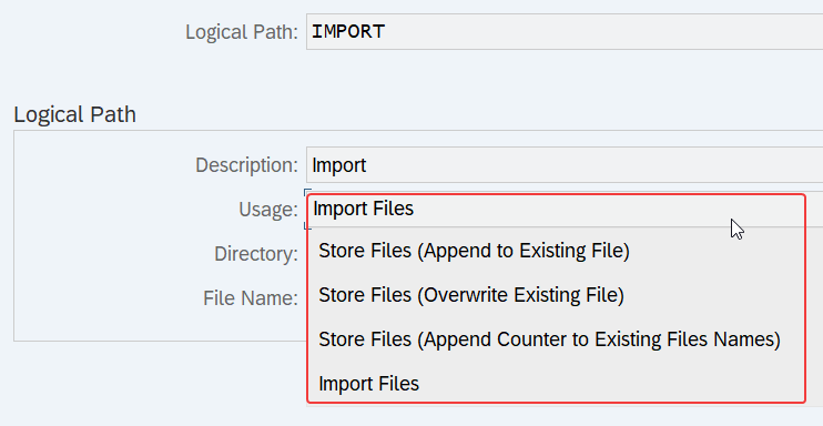 FEB_FILE_HANLDING directory usage types. Store, import,etc - SAP SPRO view