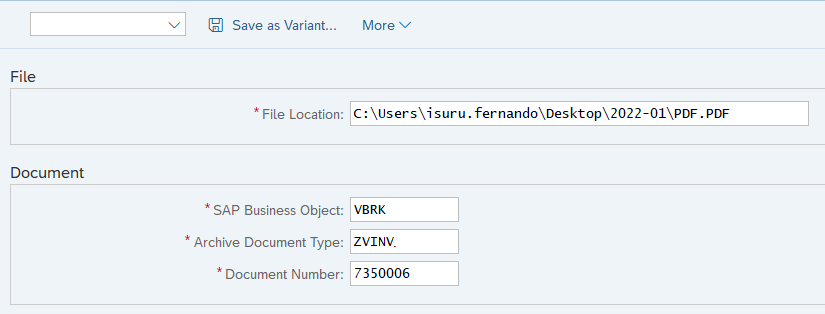 Selection screen of the ABAP program that can store files in ArchiveLink